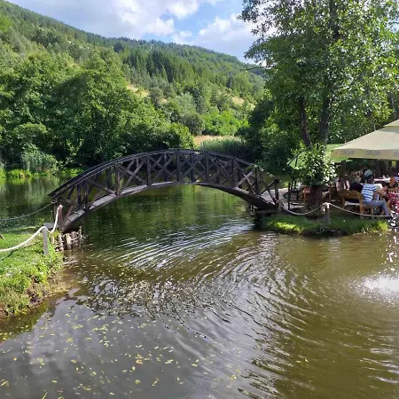 Golija Holiday home *