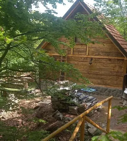 Golija Holiday home *